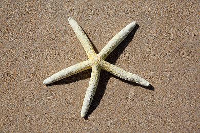 免费射击游戏《星球大战：猎人》第三次跳票 2024年发售